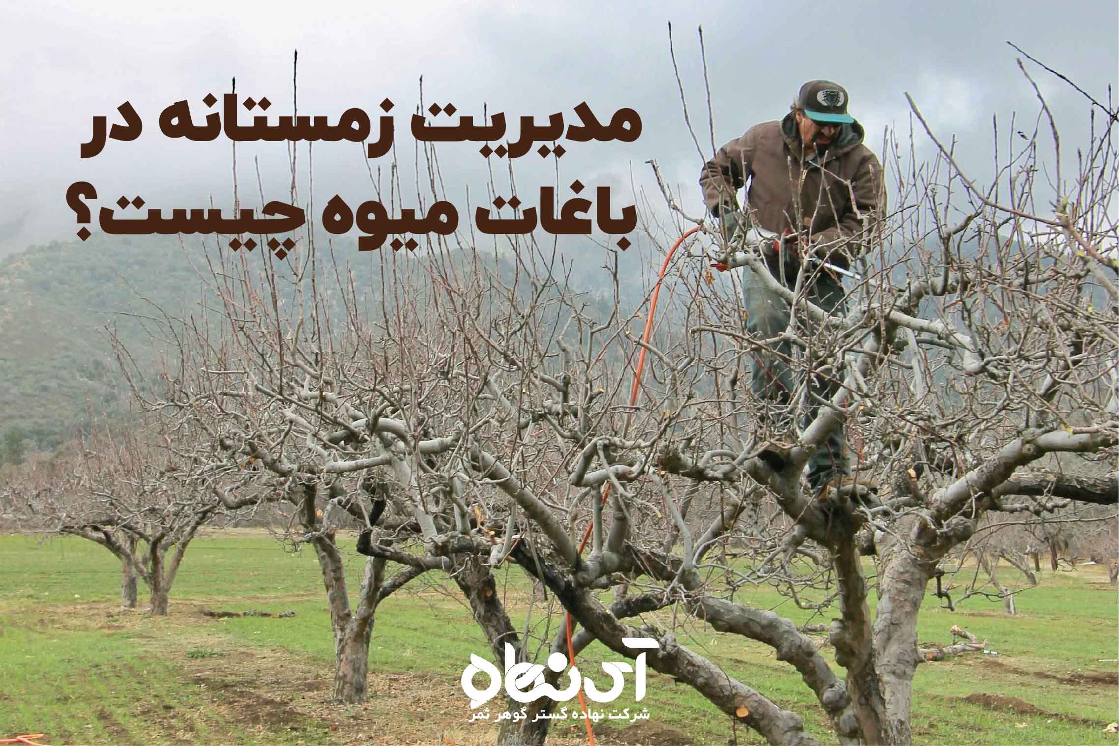 مدیریت زمستانه در باغات میوه چیست؟